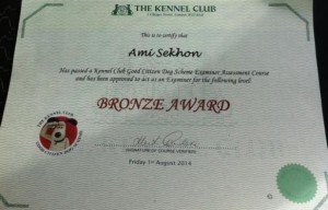 Bronze GCDS assessor