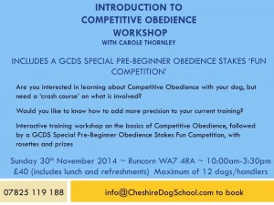 Competitive obedience