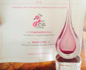 Winner, Enterprise Vision Award 2016 eva-award