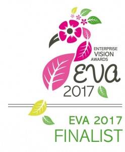 EVA finalist 2017