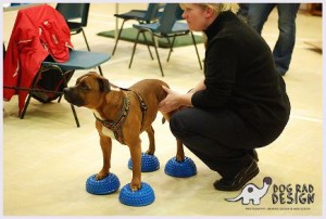 Gail canine conditiong class