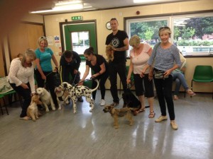 Latest group of puppies (and owners) who successfully completed the Kennel Club Puppy Foundation course. 