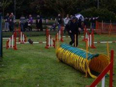 agility-for-the-queen