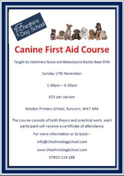 canine-first-aid-runcorn