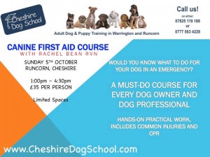 canine first aid runcorn