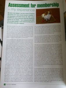 Ami's article in the APDT dog trainer's magazine