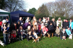 Cheshire Dog School Gallery