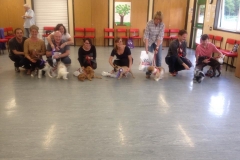 Cheshire Dog School Gallery